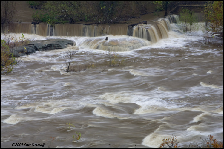 _MG_5447 overflow at belle isle 3.jpg